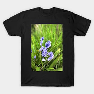 Bluebells In Spring T-Shirt